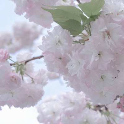 兽设雨夜场景创作福瑞交流群